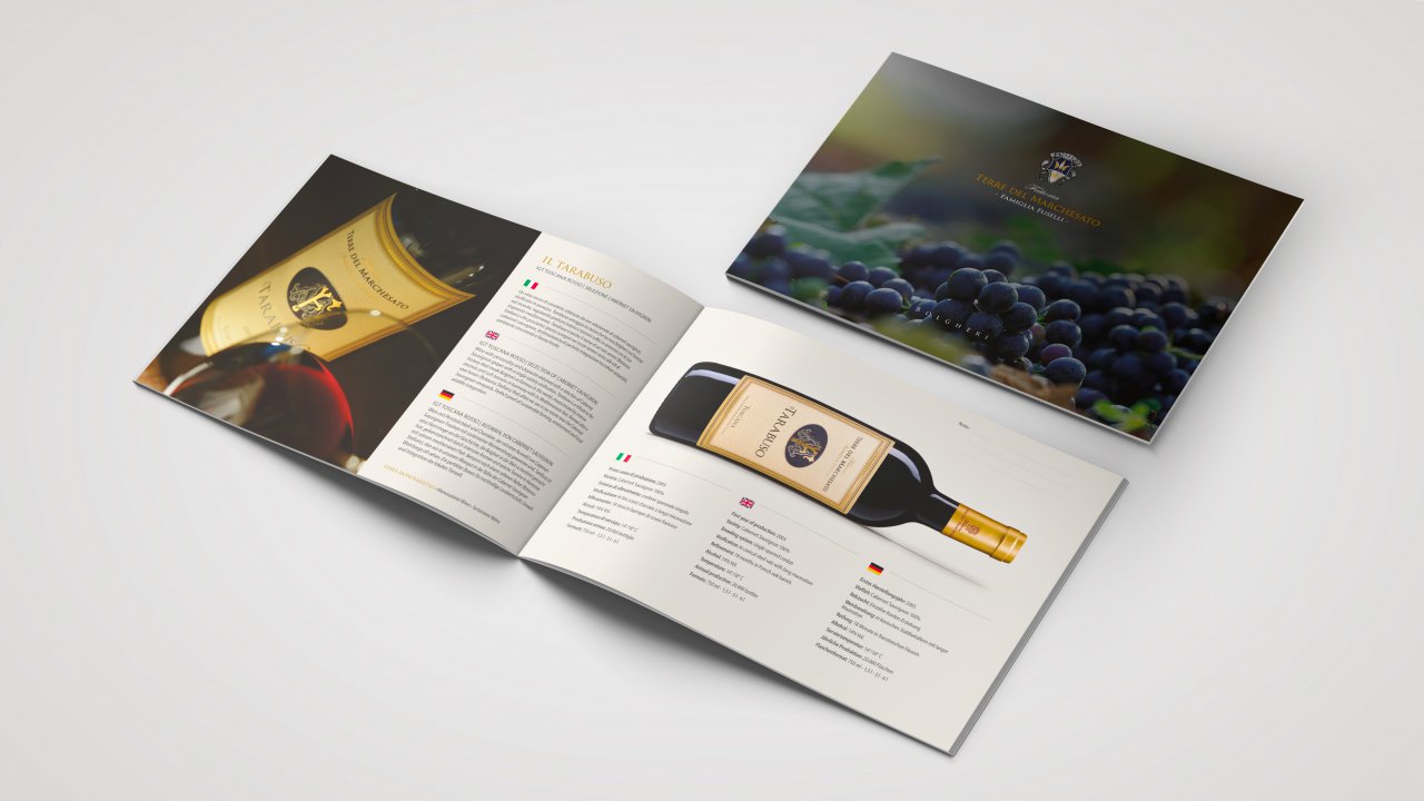 TDM-brochure-6