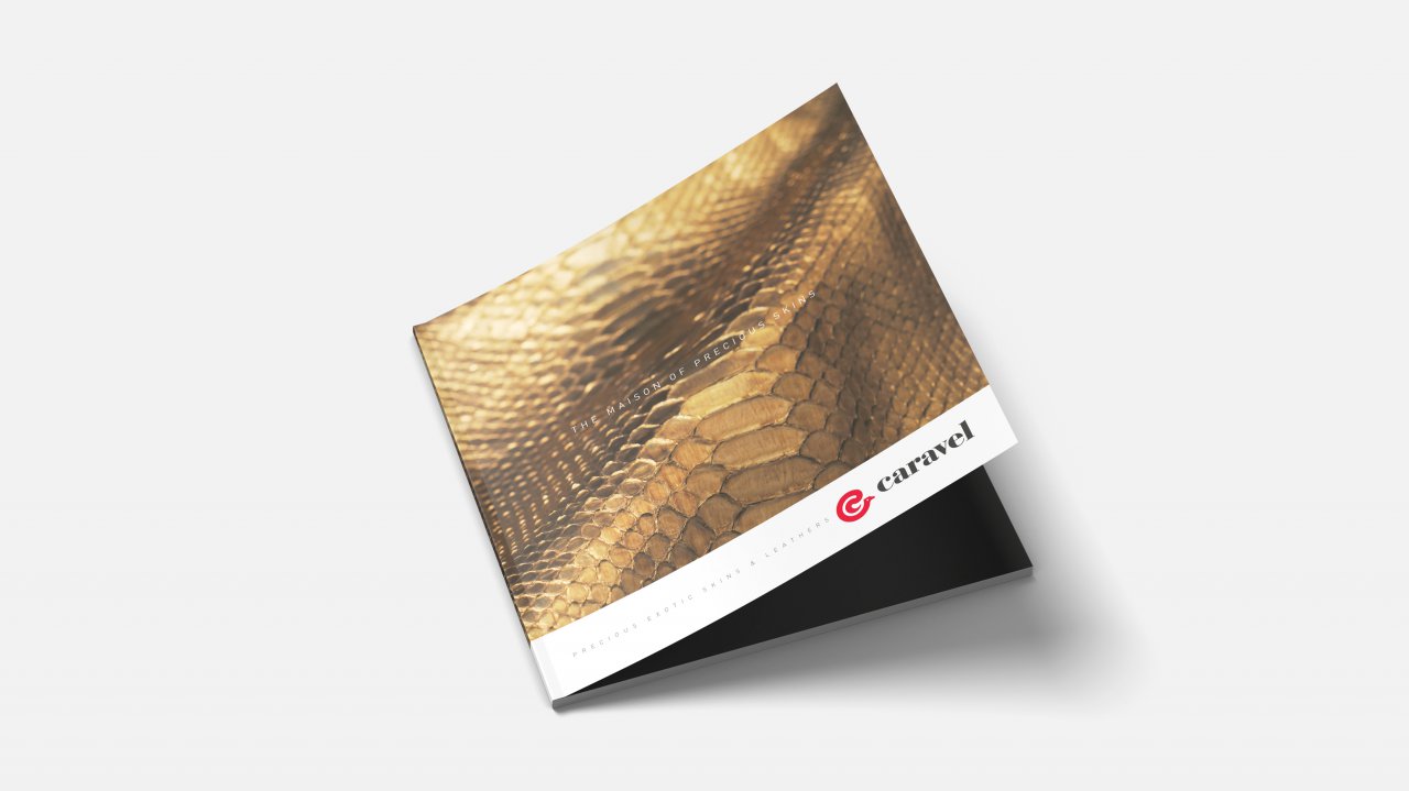 caravel-elaborati-mockup3