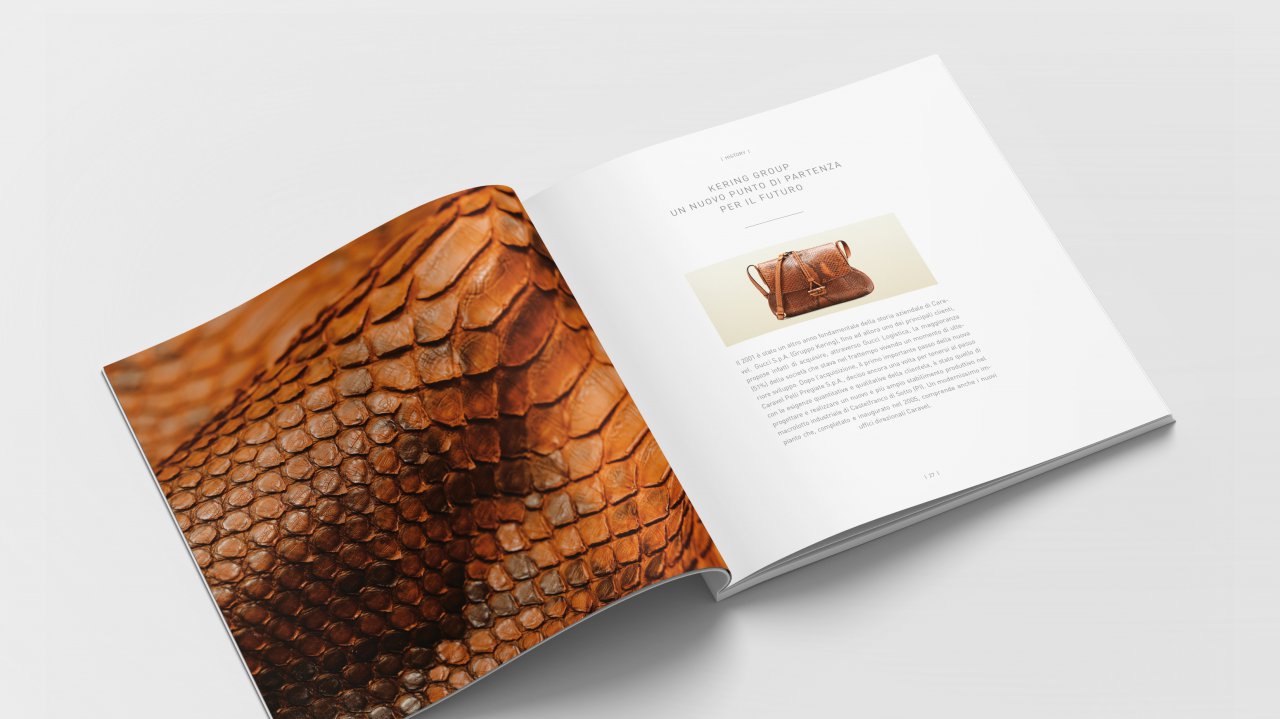 caravel-elaborati-mockup5