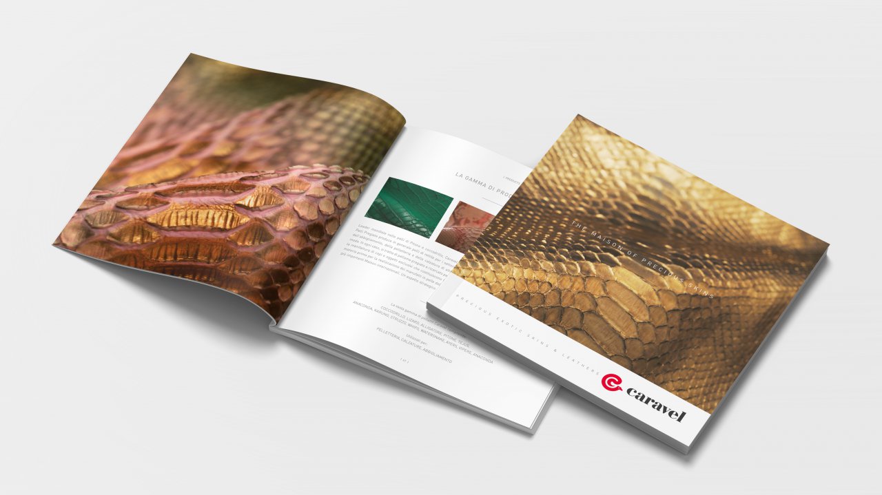 caravel-elaborati-mockup6