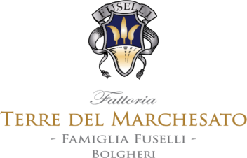 Screenshot 2025-11-27 alle 17.32.23