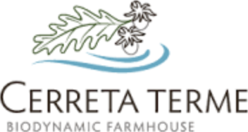 Screenshot 2025-11-27 alle 17.35.35