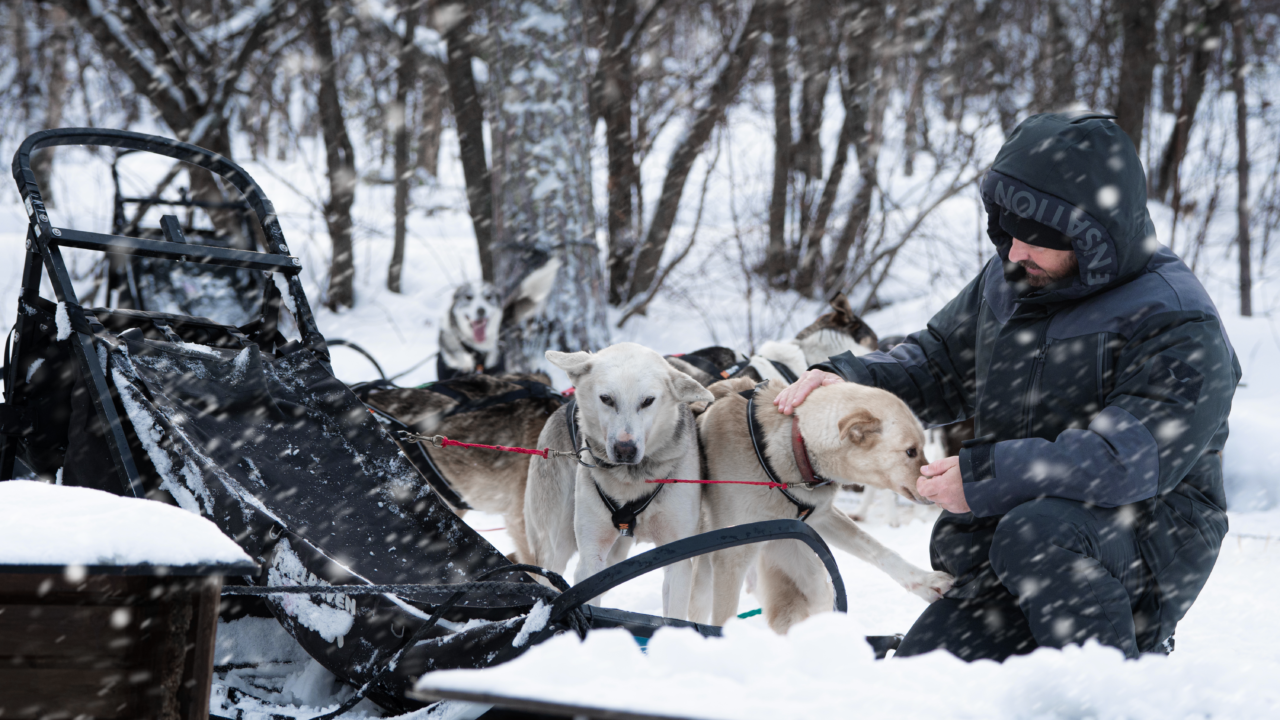 SEEKERS-SHOOTING-ARTICO-C1-23