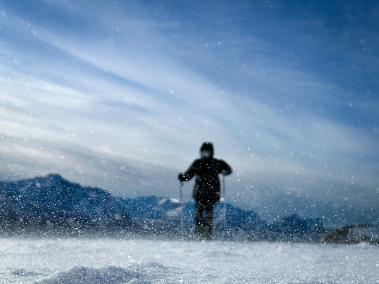 SEEKERS SHOOTING ARTICO C2-02